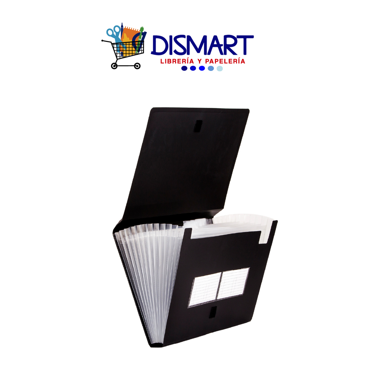 Archivador Expandible Carta Negro 13 div.