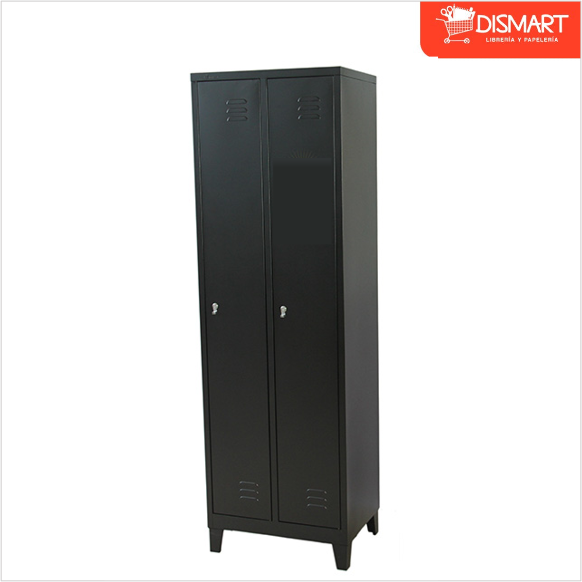 Locker Metálico 2 Puertas con Llave y Tirador (CNDO-02N)