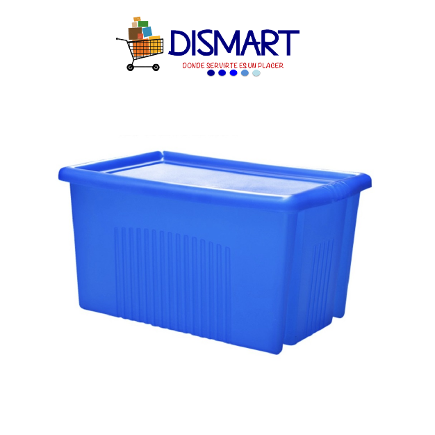 Caja Plástica Para Archivo - MegaBox